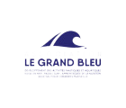 logo le grand bleu marseille asso ok